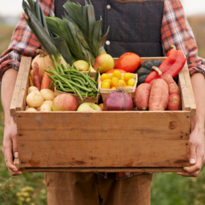 Légumes d'été au kilo